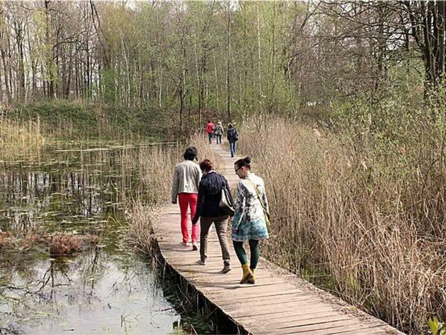 Villa Kempen-Broek Weert Eksteriør billede